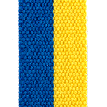 ribbon RPET l800 blue/yellow