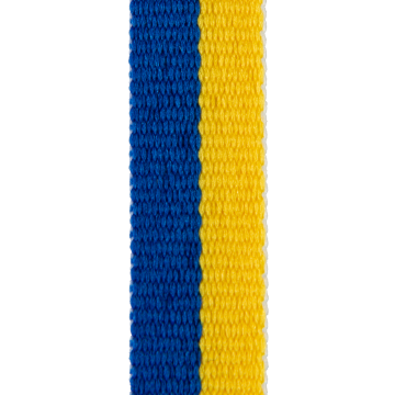 ribbon RPET l800 blue/yellow